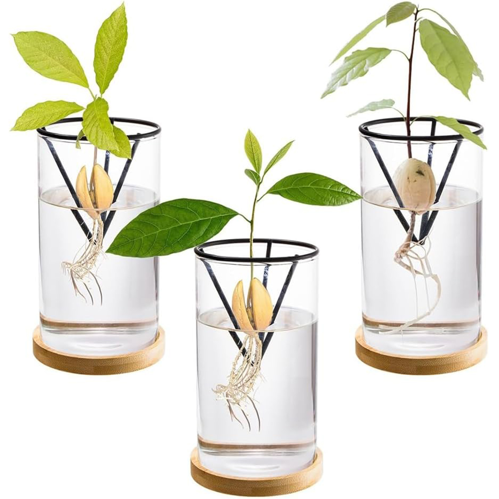 Crystal Growing Kit - Juego de Kits de cultivo de