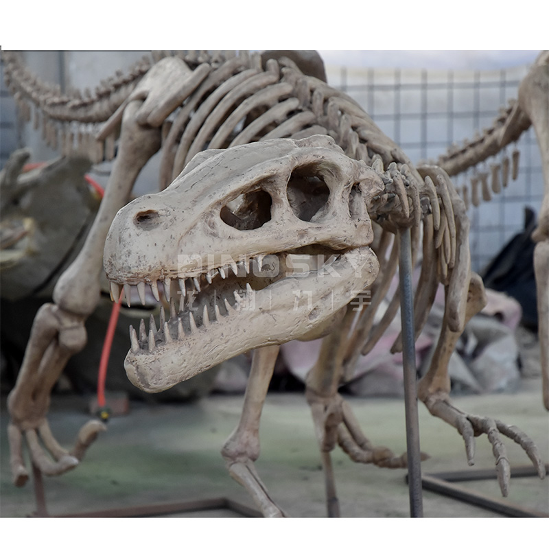 Science Exhibition Models - Modelo de Esqueleto de Dinosaurio Raptor
