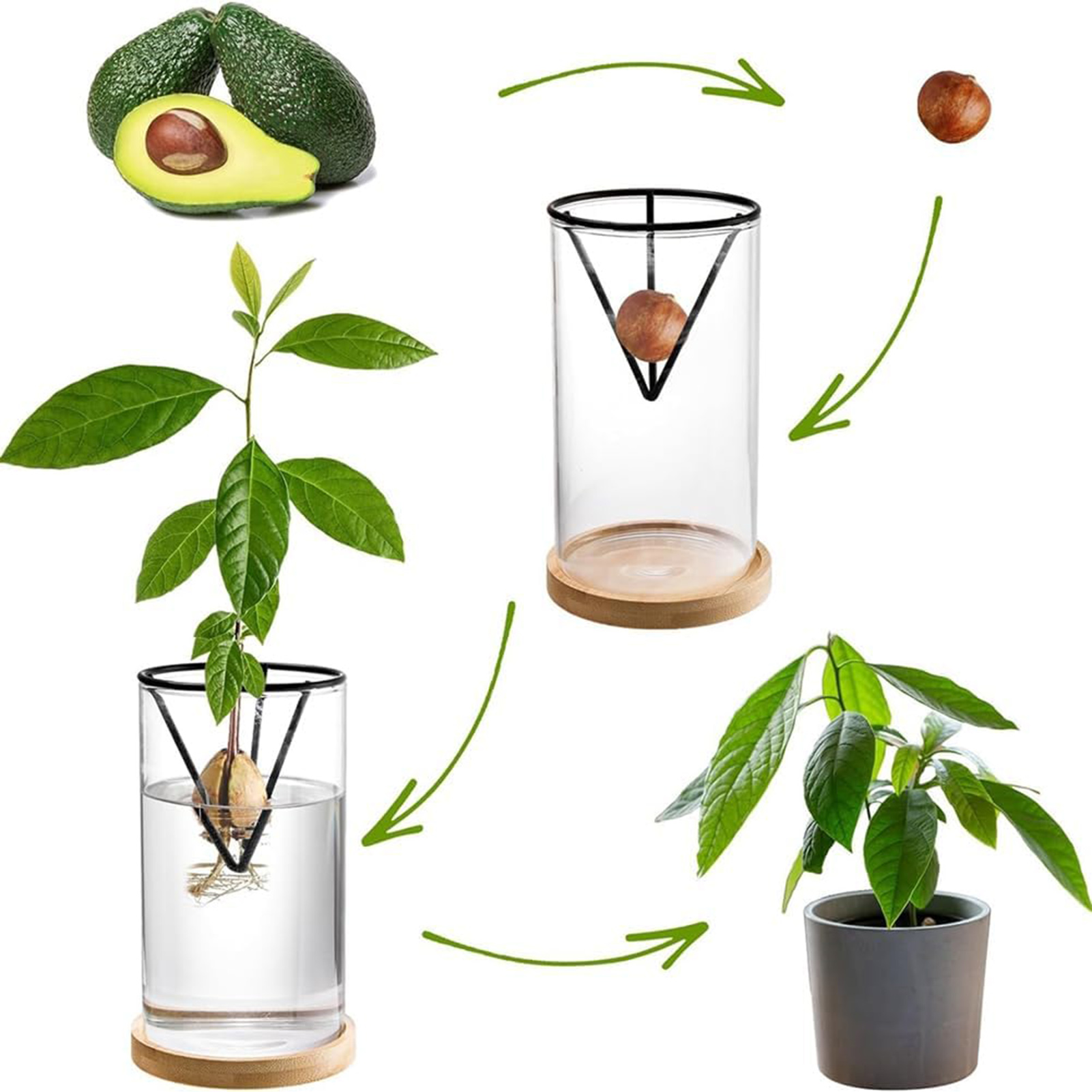 Juego de Kits de cultivo de ár - Crystal Growing Kit reseña y precio