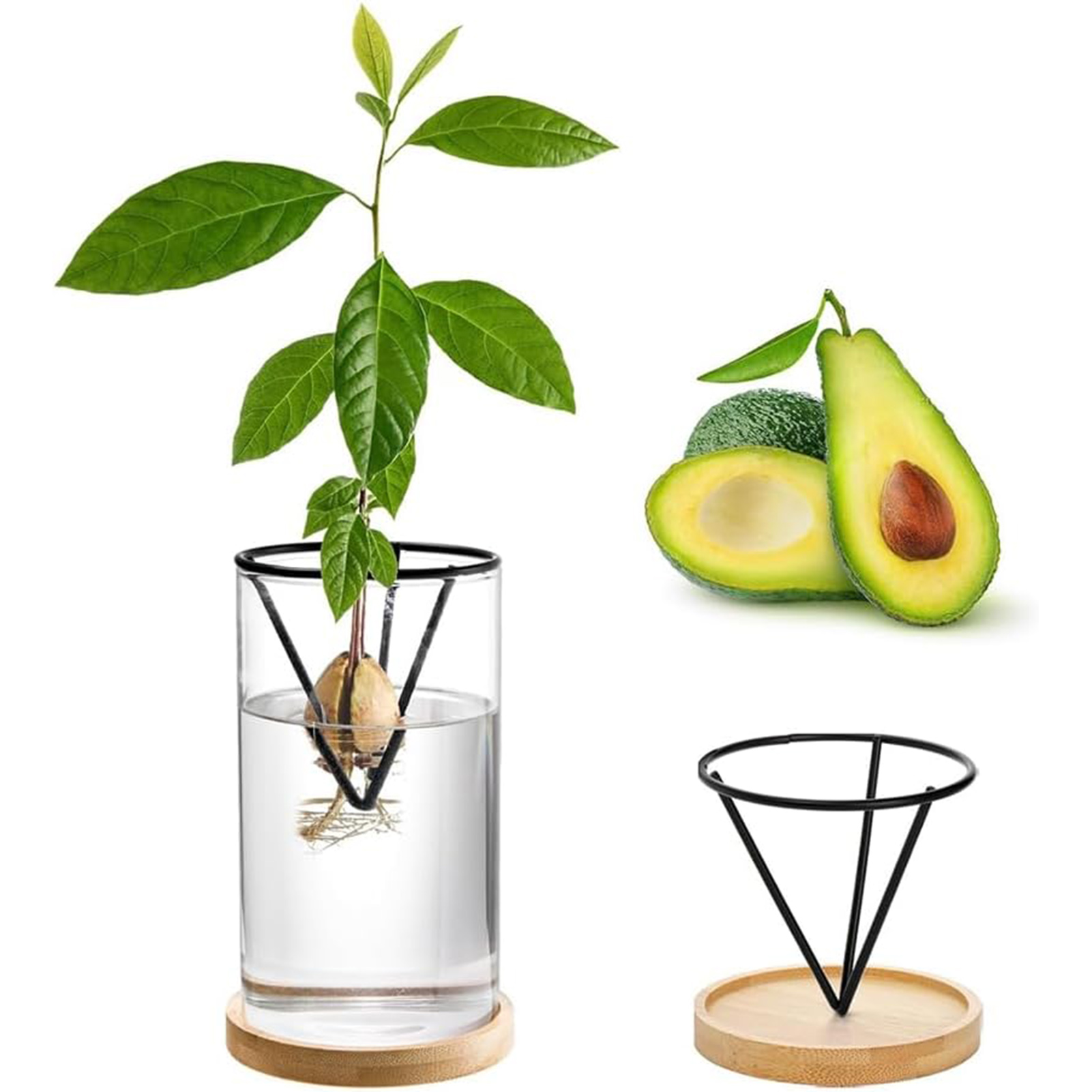 Juego de Kits de cultivo de ár - Crystal Growing Kit reseña y precio