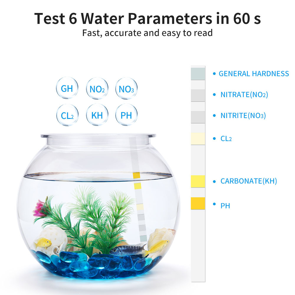 Tiras de prueba de calidad del - Water Testing Kit reseña y precio
