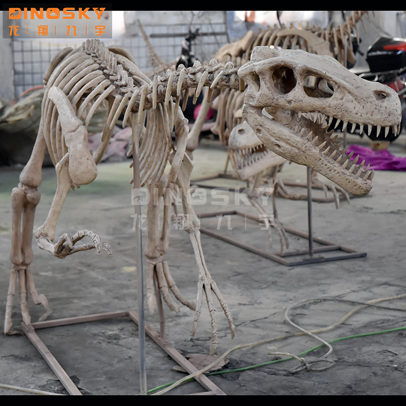 Modelo de Esqueleto de Dinosau - Science Exhibition Models reseña y precio