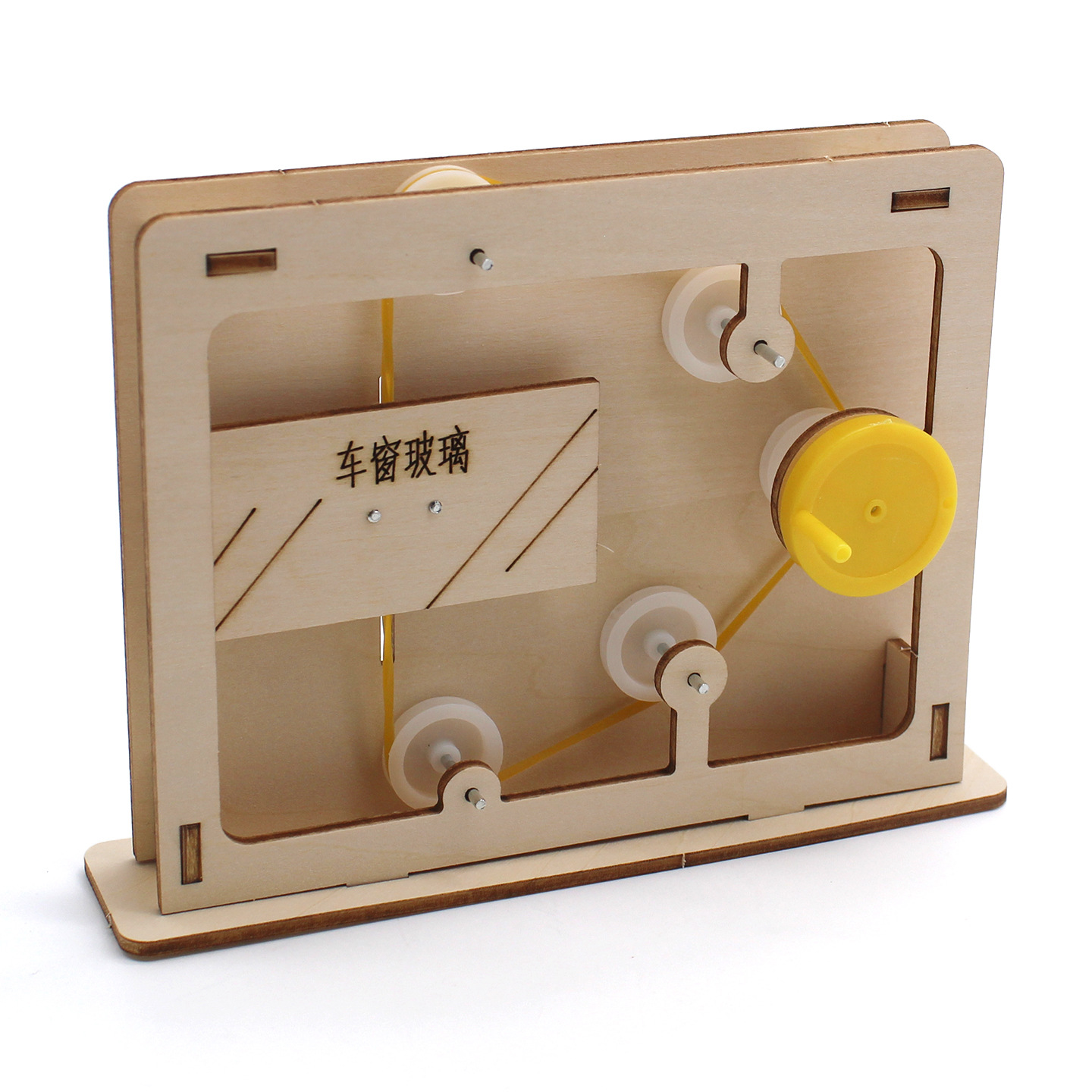 Modelo educativo de cuerda y p - Science Project reseña y precio