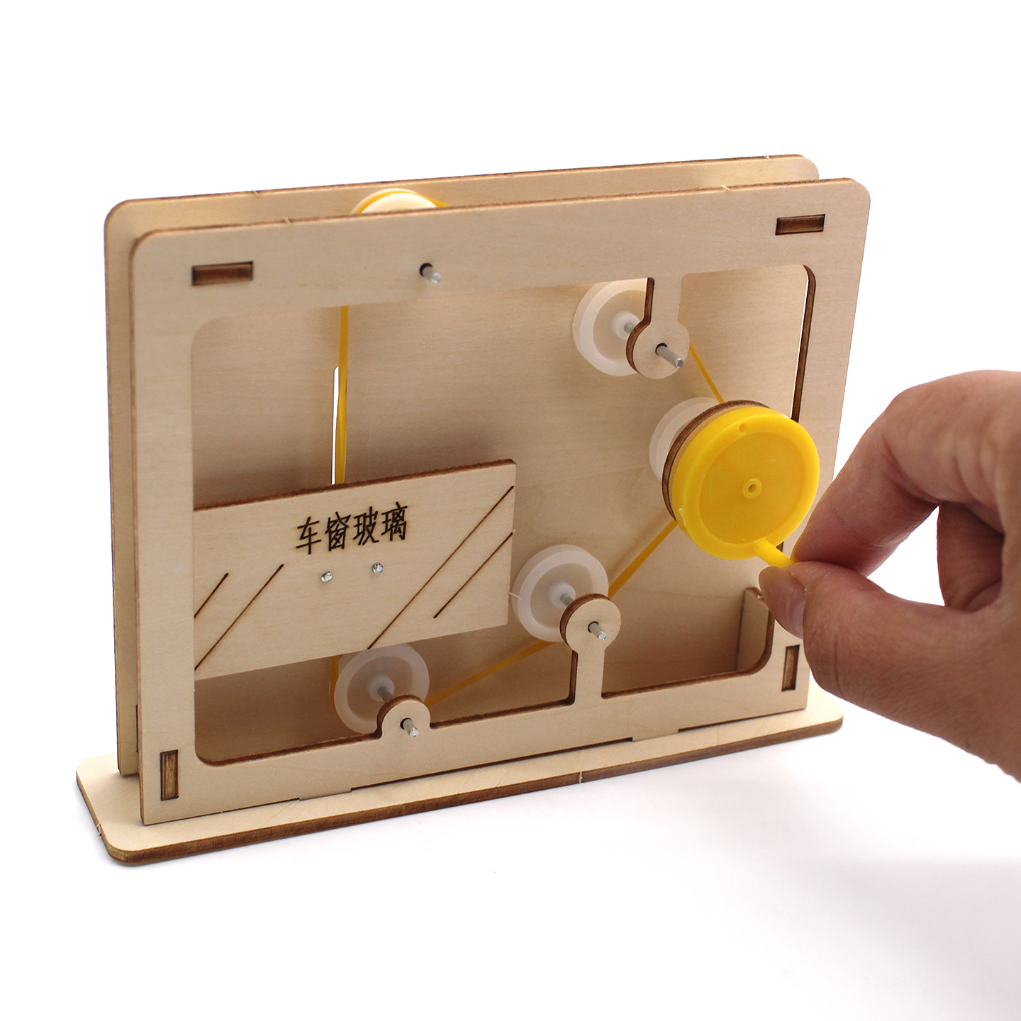 Modelo educativo de cuerda y p - Science Project reseña y precio