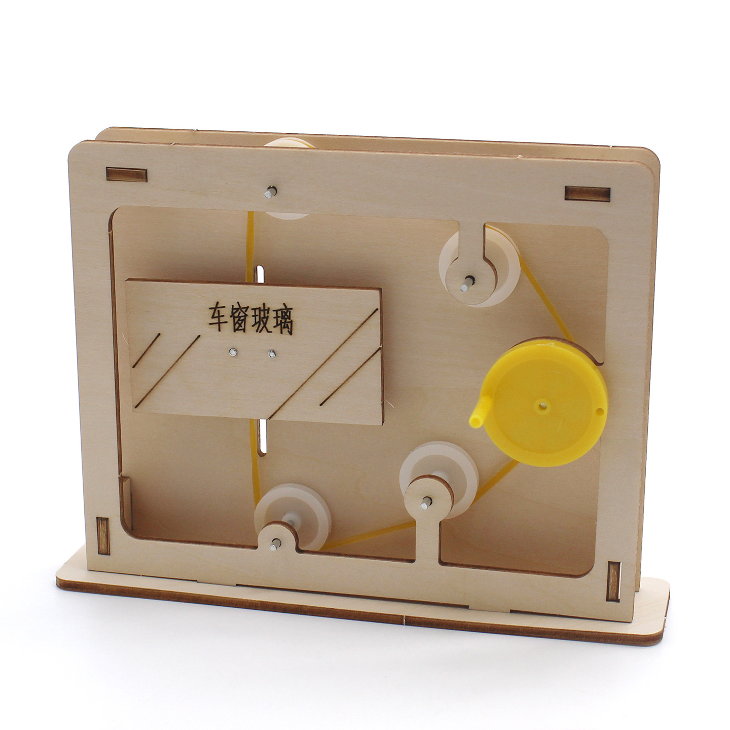 Modelo educativo de cuerda y p - Science Project reseña y precio